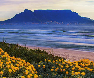 reasons-being-south-african-is-awesome