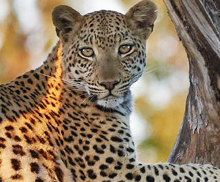 weekend-breaks-in-south-africa