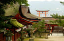 Miyajima | by Flight Centre's Tiffany Apatu