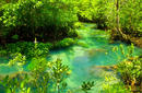 Krabi Crystal Stream