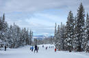 Skiing, Steamboat Ski Resort, Colorado, United States
