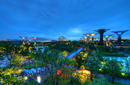 Twilight in Gardens by the Bay