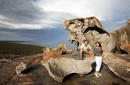 The Remarkable Rocks, Kangaroo Island | © SATC
