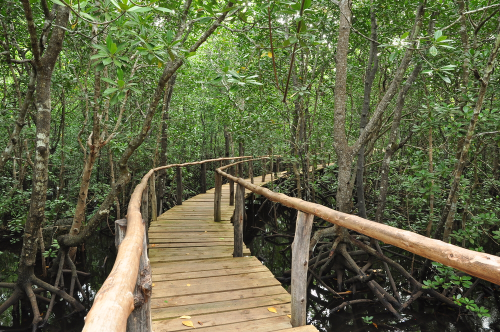 shutterstock_99479813