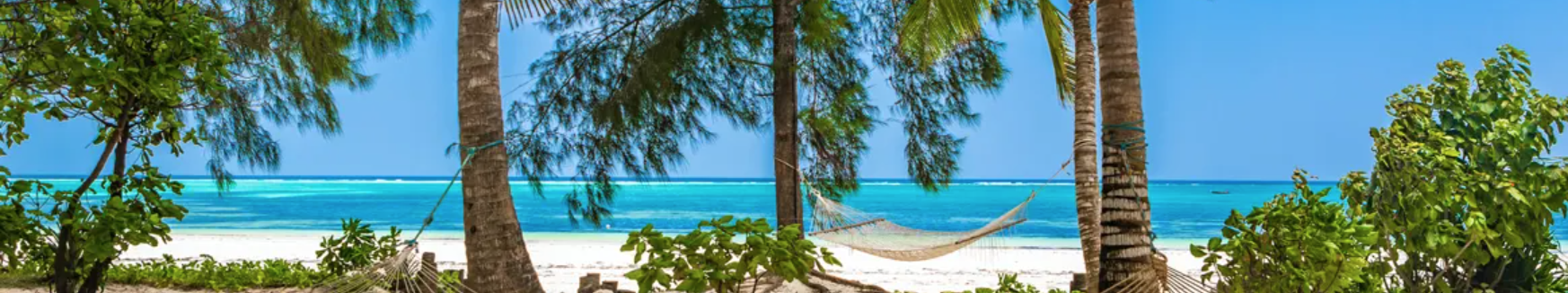 A view of a beach with white sand and lush greenery in Zanzibar, which can be visited via a cheap flight from Flight Centre.